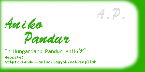 aniko pandur business card